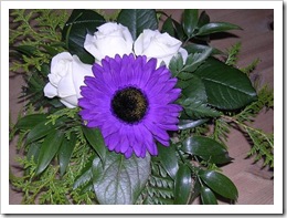 DSCN5314