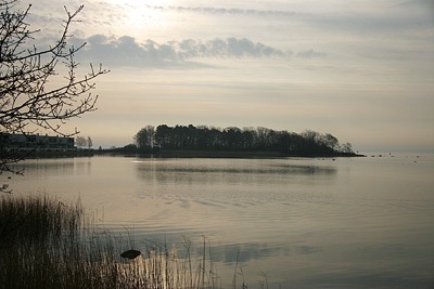 IMG_6206