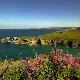 Views of Port Gavern from The Beach House