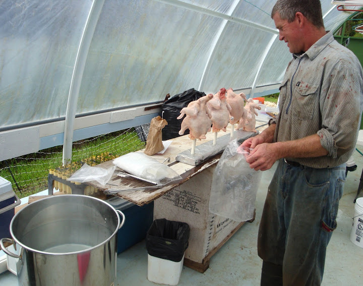 Shane, packing the finished broilers
