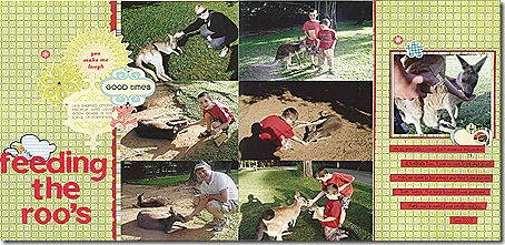Feeding the Roo's