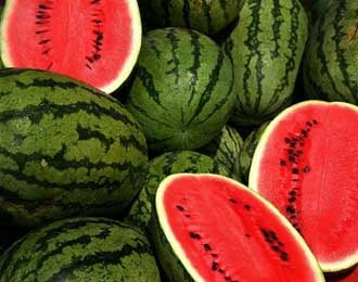 [Watermelon can be converted to Bioethanol[3].jpg]