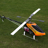IMG_7200.JPG