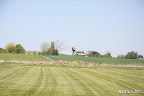 DPP_0029.jpg