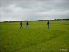 DSC02533.jpg