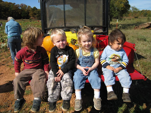 Pumpkin Patch Photos