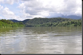 daintree river