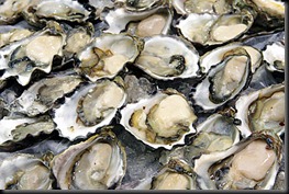 oysters424