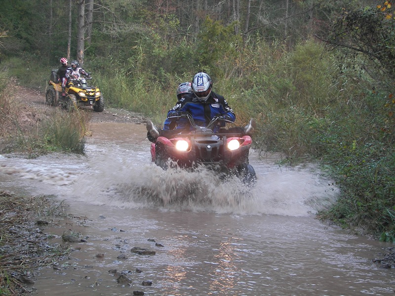 [100_0889[3].jpg]