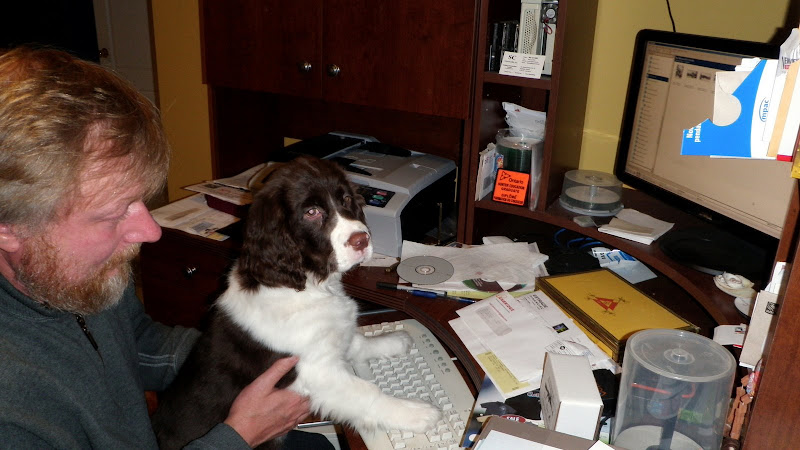 Зимние прогулки по лесу