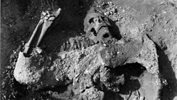 esqueleto- dura europos esqueleto- dura europos