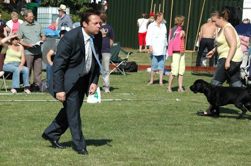  2008
