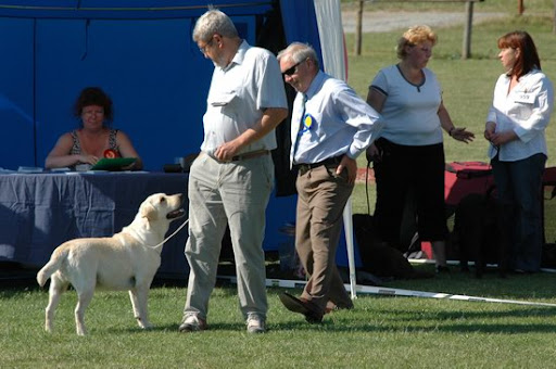  2008