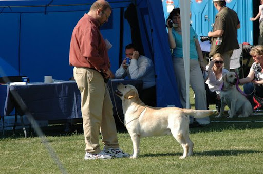  2008