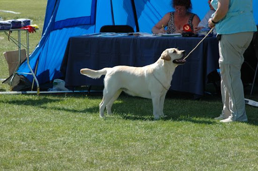  2008