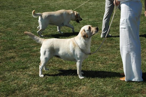  2008