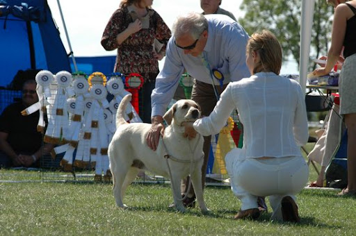 2008