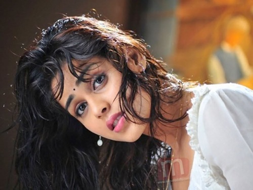 world hot actress, sexy genelia, hot genelia, nude genelia, indian tamil actress, cute genelia