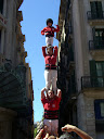 http://lh4.ggpht.com/_5a5BMitFeFE/Sfwprk_NuYI/AAAAAAAAEZU/fAb75AjXkt8/CIMG6671.JPG