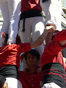 http://lh4.ggpht.com/_5a5BMitFeFE/SfwuZhcBaPI/AAAAAAAAEbE/CCOYTB1G0vQ/CIMG6696.JPG