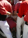 http://lh4.ggpht.com/_5a5BMitFeFE/SfwwujFpDKI/AAAAAAAAEcE/_PaL3yYWOm8/CIMG6712.JPG
