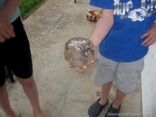 [IMG_4443-17.jpg]