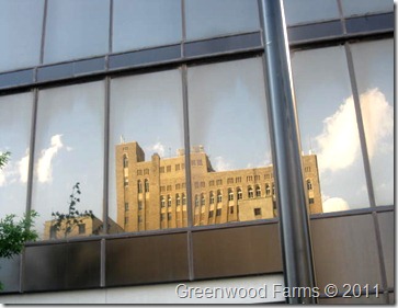 Tulsa Reflection IMG_4581