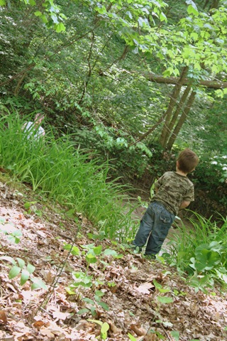 [HuntingCamp372.jpg]