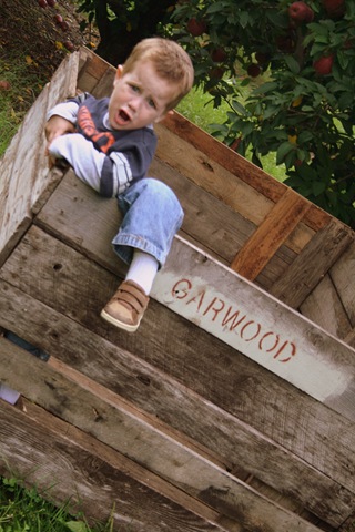 [ApplePicking2009282.jpg]
