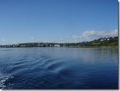 P8152491