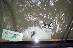 000_0411.jpg 000_0411.jpg