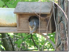 IMG_5923 IMG_5923