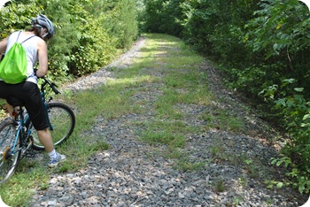 Palmetto Trail