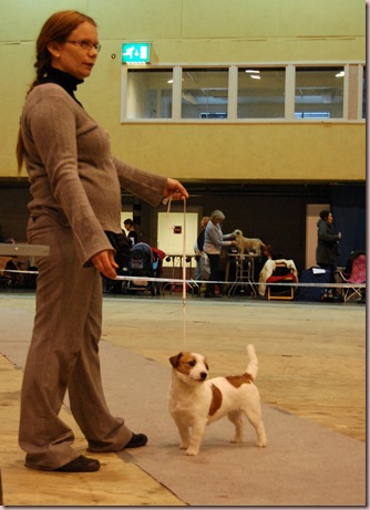 DSC_7407 DSC_7407