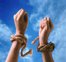 freedom freedom