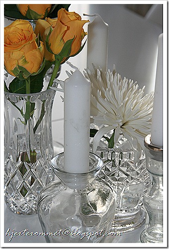 IMG_1664 IMG_1664
