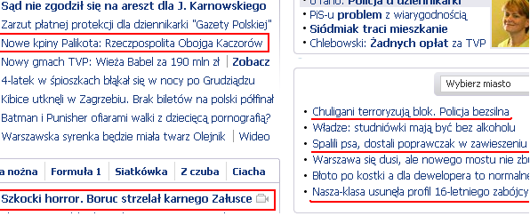 Gazeta Wyborcza, gazeta.pl, GW, Adam Michnik, agresja, przemoc, ubloid, nienawiść, prymitywizm, 29 stycznia 2009