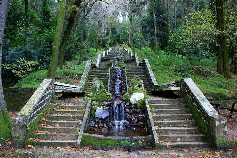 Mata nacional do Buçaco