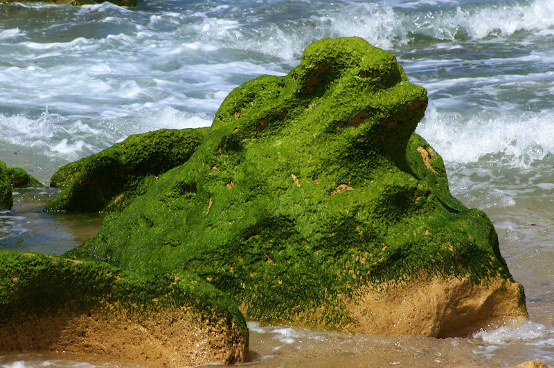 Rocha na Praia da Ilha, A Tartaruga