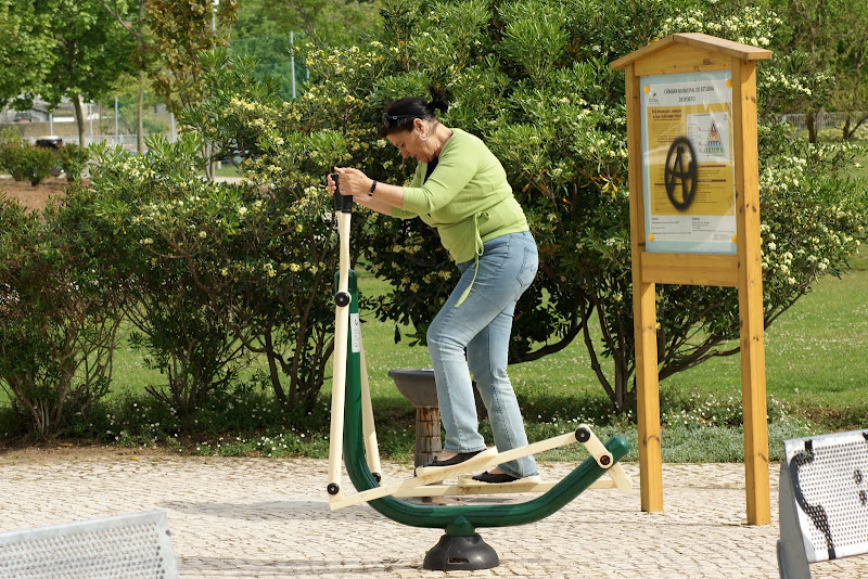 Os dias do Jardim da Algodeia