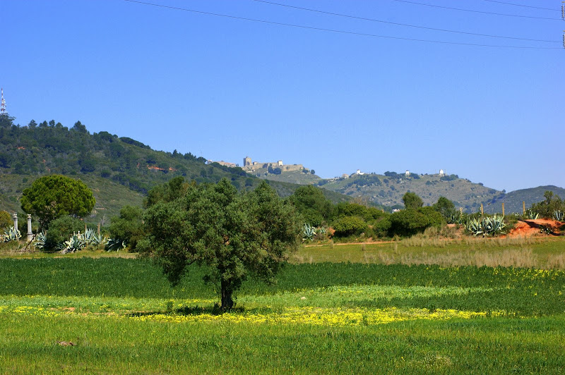 Os Campos da Arrábida