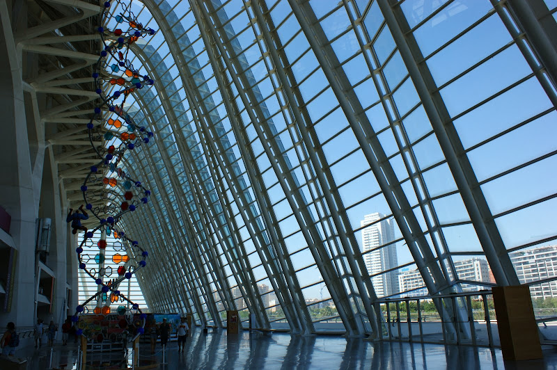 Museo da ciência, Valência Espanha
