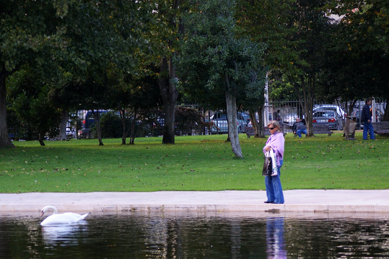 Jardim do Bonfim, a ver o cisne!