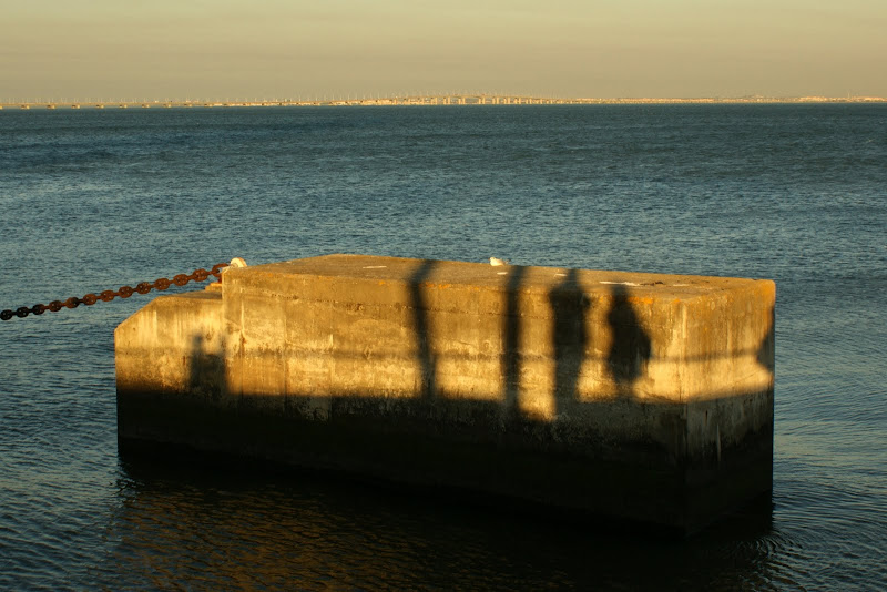 Sombras do fim de tarde