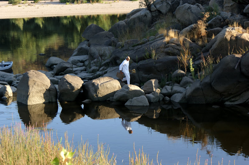 Pedras no Caminho, afasto-as todas - Augusto Cury