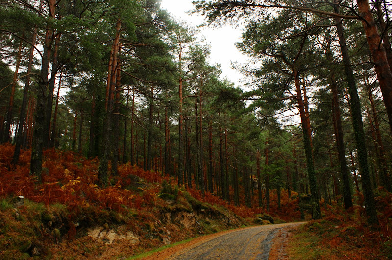 Caminhante não há caminhos, faz-se o caminho ao andar
