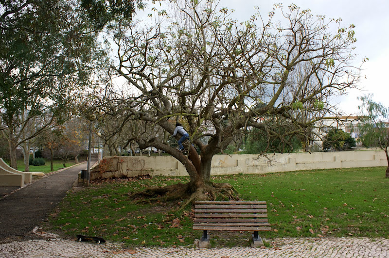 Inverno em Vanicelos