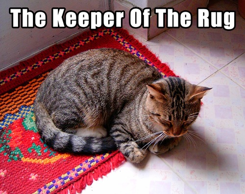 lolcat-keeper-of-the-rug