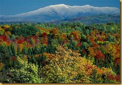 autumn-foliage-523361-ga