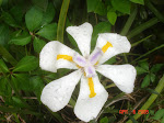 DSC01308.JPG